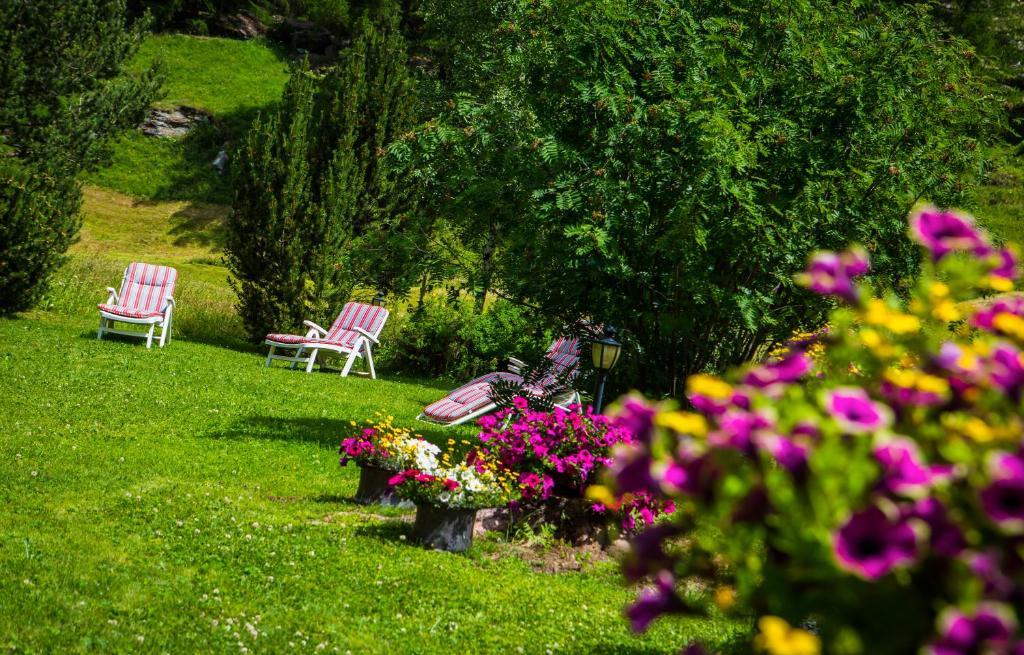Hotel Alpenhof Saas-Almagell Extérieur photo